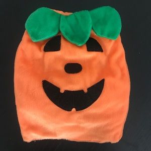 Pumpkin Dog Outfit